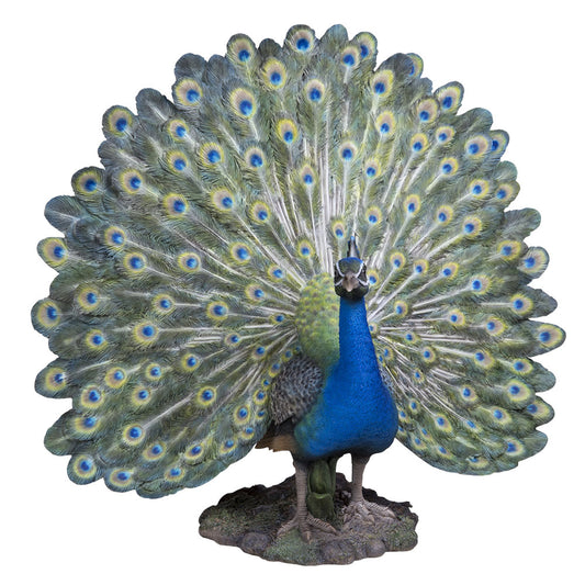 Statue - Peacock Open Tail - Available at iPave Natural Stone